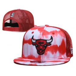 Chicago Bulls Snapback Cap 24E21