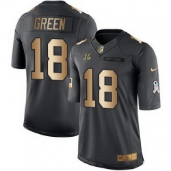 Nike Bengals #18 A J  Green Black Youth Stitched NFL Limited Gold Salute to Service Jersey