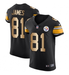 Nike Steelers #81 Jesse James Black Team Color Mens Stitched NFL Elite Gold Jersey