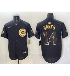 Men Chicago Cubs  14 Ernie Banks Black Gold 150th Anniversary Patch Stitched Baseball Jersey