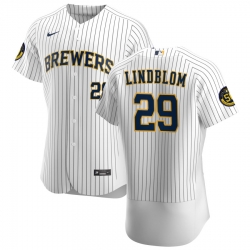 Men Milwaukee Brewers 29 Josh Lindblom Men Nike White Home 2020 Flex Base Player MLB Jersey