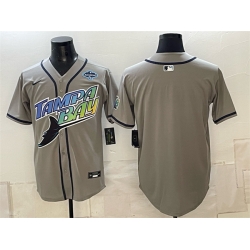 Men Tampa Bay Rays Blank Gray 2026 AL East Champions Patch Vapor Limited Stitched Baseball Jersey