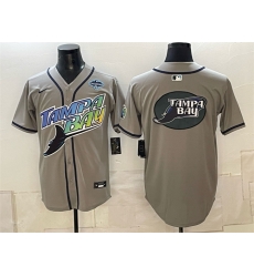 Men Tampa Bay Rays Team Big Logo Gray 2026 AL East Champions Patch Vapor Limited Stitched Baseball Jersey