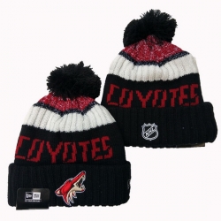 Arizona Coyotes NHL Beanies 001