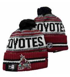 Arizona Coyotes NHL Beanies 002